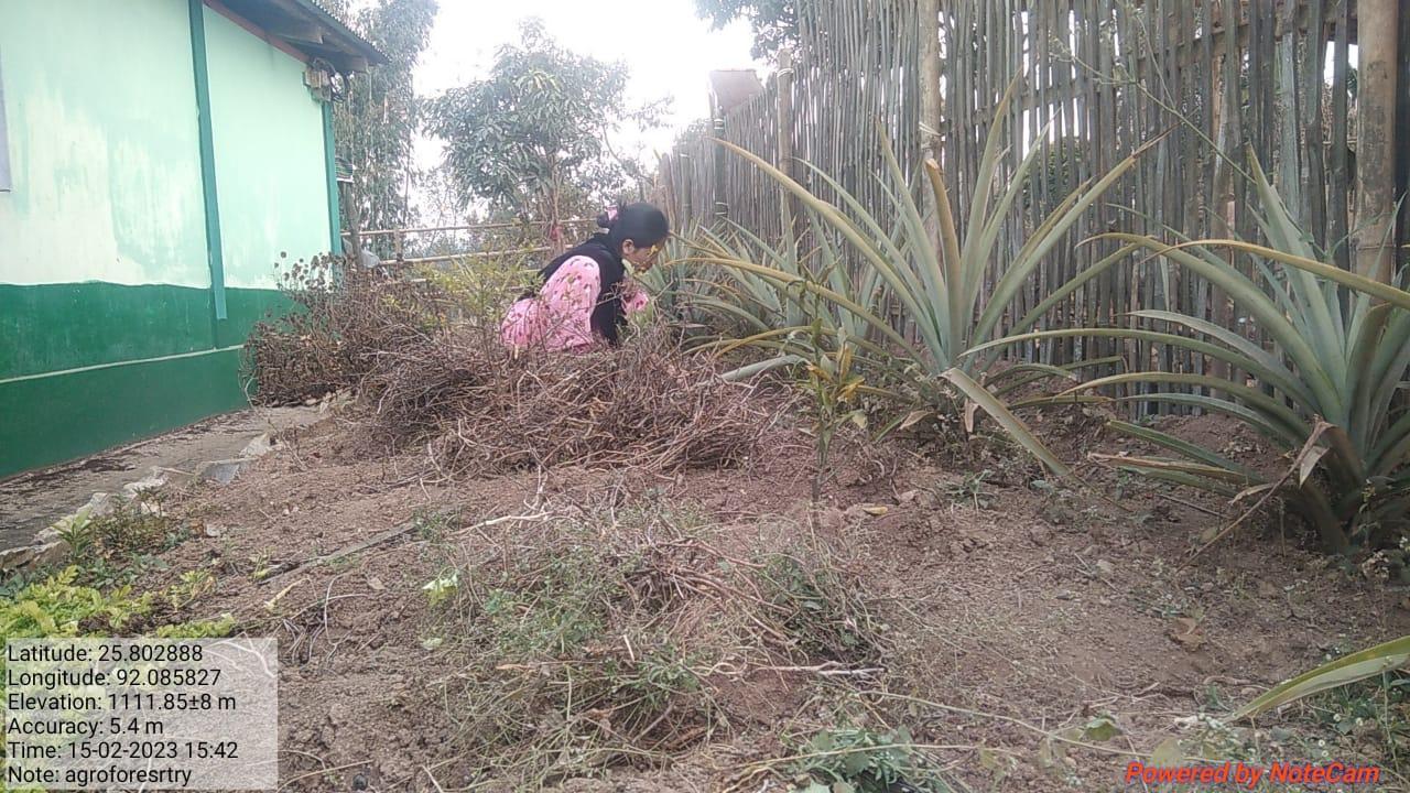 C:\Users\Lavinia Pde\Downloads\WhatsApp Image 2023-03-30 at 10.35.40 (1).jpeg